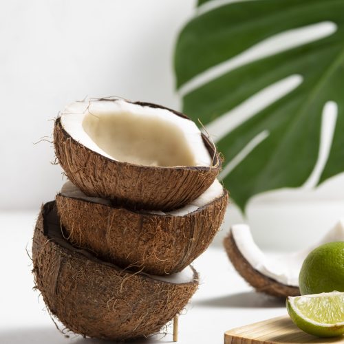 coconuts-leaf-with-white-background